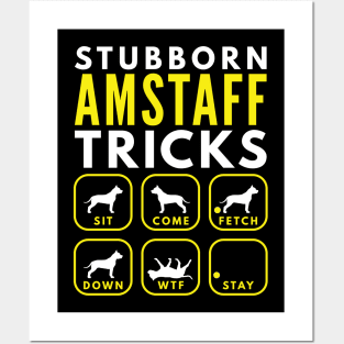 Stubborn AmStaff Tricks - Dog Training Posters and Art